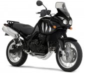 2004 Triumph Tiger photo